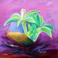 lapines 7 plus fire- Liesbeth Afek