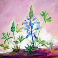lapines 7 plus fire- Liesbeth Afek