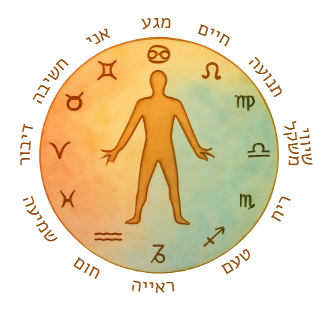 שנים עשר החושים והמזלות